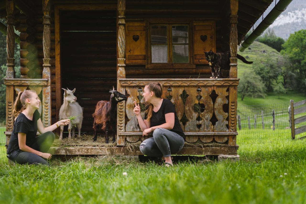 Pension Glitschnerhof Aigen im Ennstal Kültér fotó