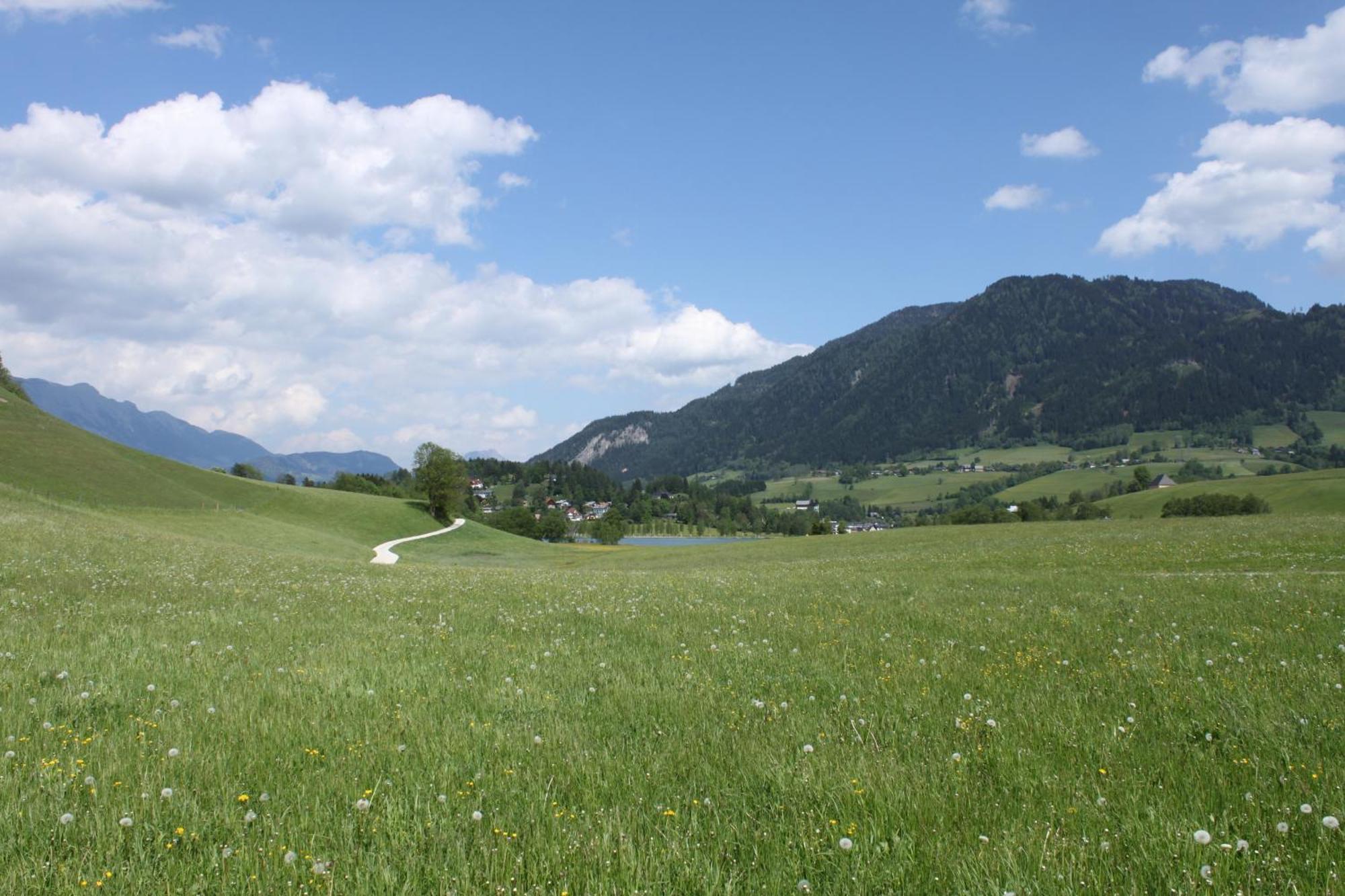 Pension Glitschnerhof Aigen im Ennstal Kültér fotó