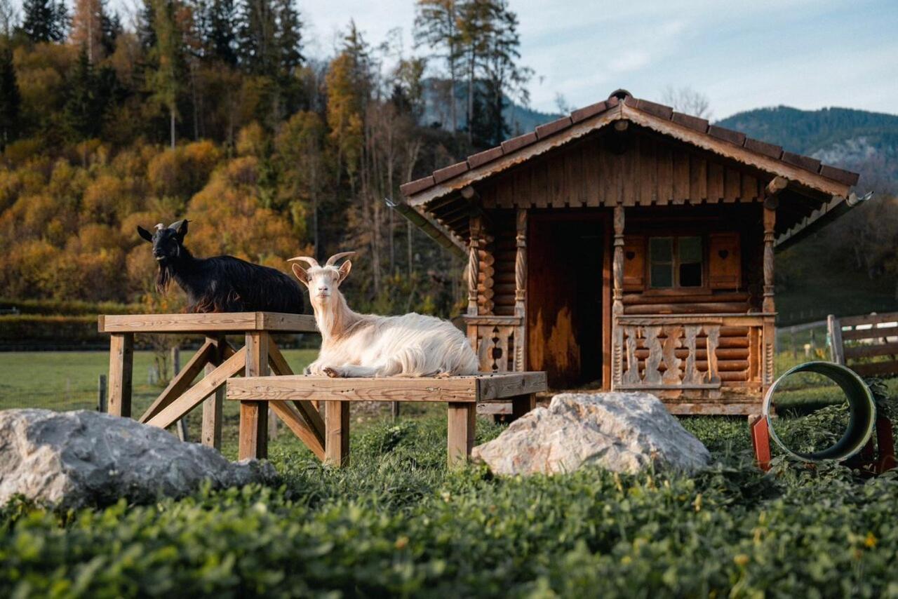 Pension Glitschnerhof Aigen im Ennstal Kültér fotó